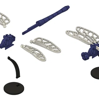 Chuồn Chuồn Voronoi