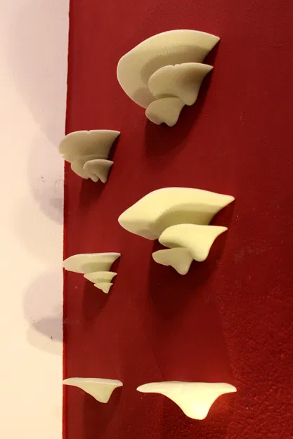 Kệ Nấm có giá đỡ tường chắc chắn | Kệ Nấm - Image 1