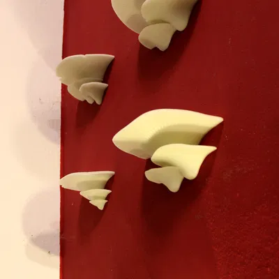 Kệ Nấm có giá đỡ tường chắc chắn | Kệ Nấm