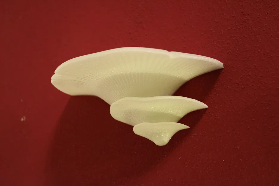 Kệ Nấm có giá đỡ tường chắc chắn | Kệ Nấm - Image 5