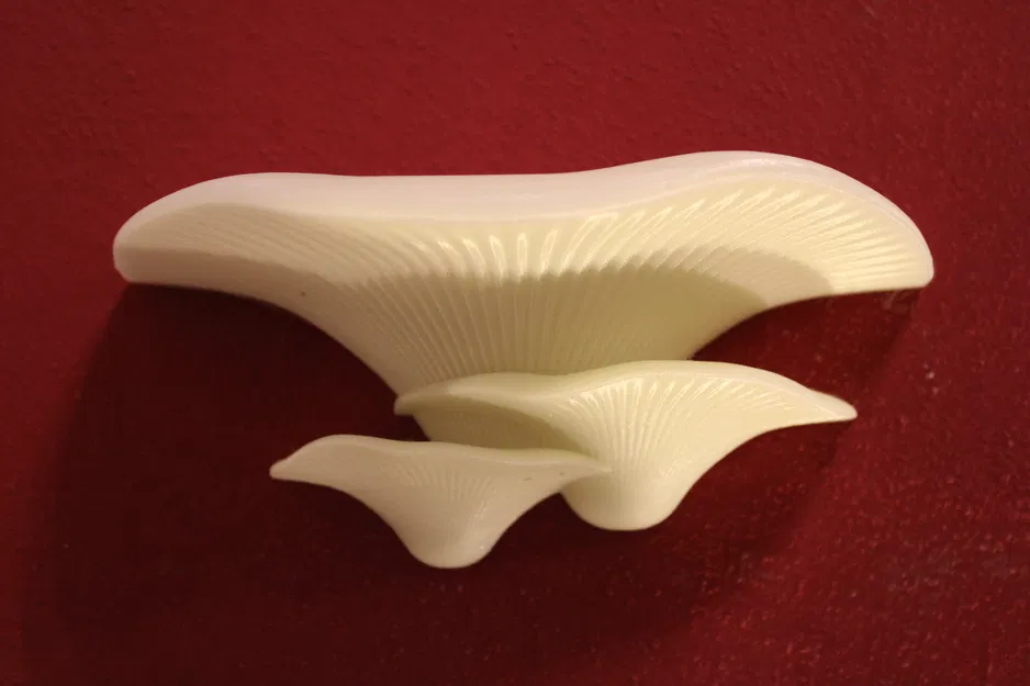 Kệ Nấm có giá đỡ tường chắc chắn | Kệ Nấm - Image 6