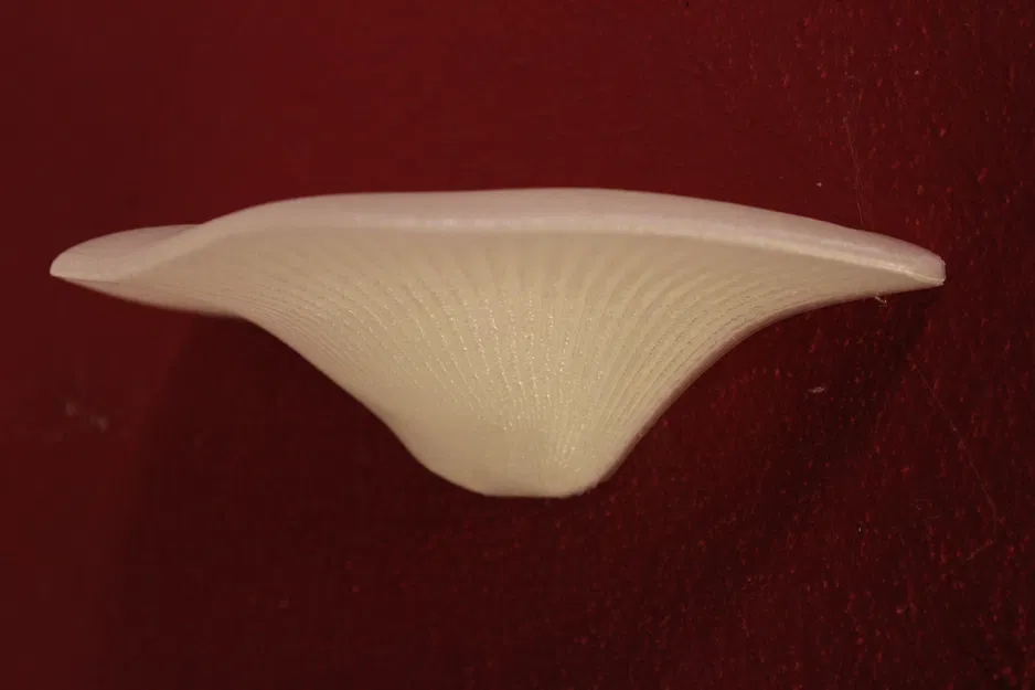 Kệ Nấm có giá đỡ tường chắc chắn | Kệ Nấm - Image 7