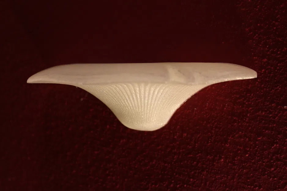 Kệ Nấm có giá đỡ tường chắc chắn | Kệ Nấm - Image 8