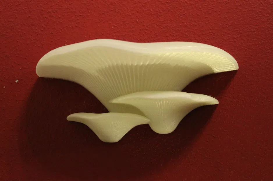 Kệ Nấm có giá đỡ tường chắc chắn | Kệ Nấm - Image 9