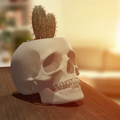 Chậu Cây/Cốc Cắm Bút Hình Đầu Lâu Chân Thật