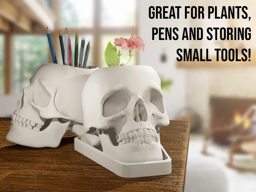 Chậu Cây/Cốc Cắm Bút Hình Đầu Lâu Chân Thật - Image 2