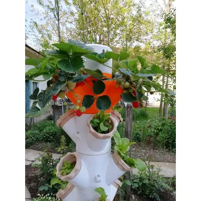 Tháp Vườn Thủy Canh Module