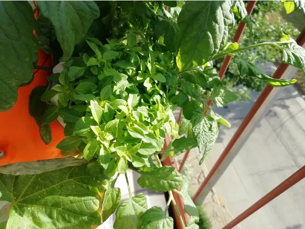 Tháp Vườn Thủy Canh Module - Image 5