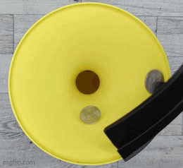 Heo Đất Vòng Xoáy Tiền Xu - Image 2