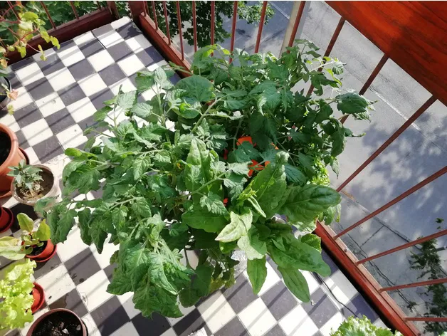 Tháp Vườn Thủy Canh Module - Image 8