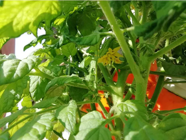 Tháp Vườn Thủy Canh Module - Image 25