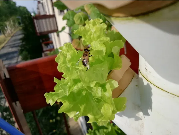 Tháp Vườn Thủy Canh Module - Image 26