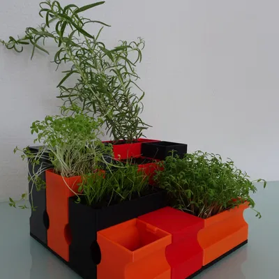 Chậu trồng cây tự tưới có thể tùy chỉnh/Bộ ươm mầm