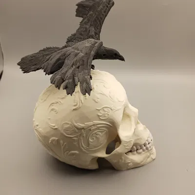 Đầu Lâu Trang Trí Kèm Quạ