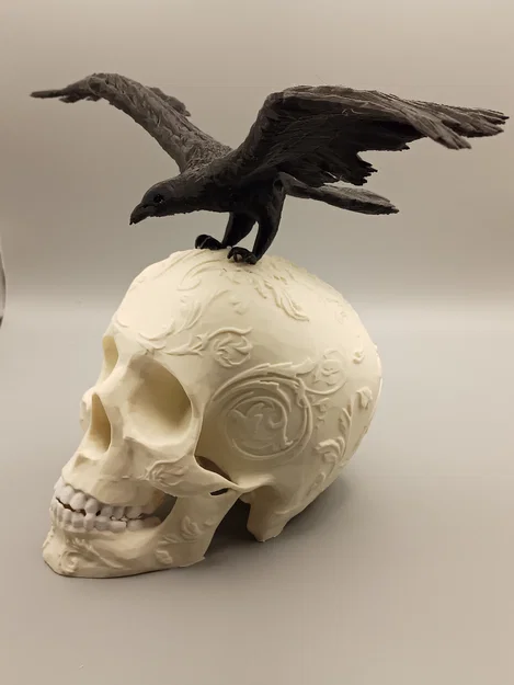 Đầu Lâu Trang Trí Kèm Quạ - Image 3