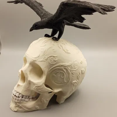 Đầu Lâu Trang Trí Kèm Quạ