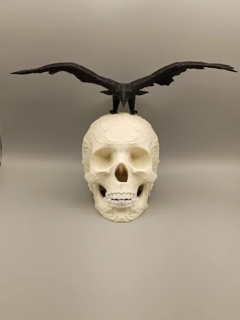 Đầu Lâu Trang Trí Kèm Quạ - Image 4