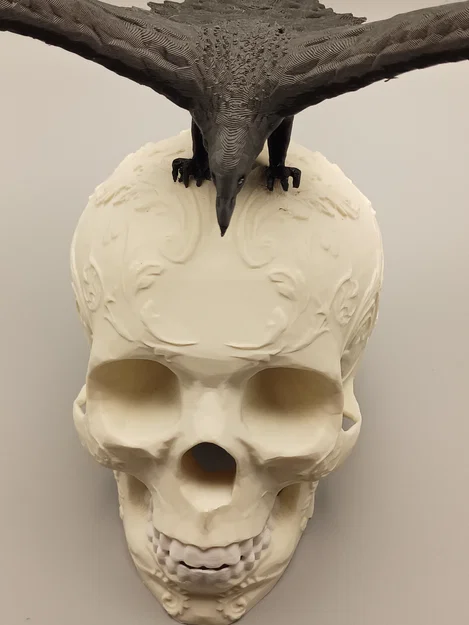 Đầu Lâu Trang Trí Kèm Quạ - Image 5