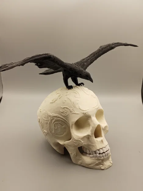 Đầu Lâu Trang Trí Kèm Quạ - Image 6