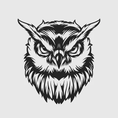 Tranh treo tường hình cú