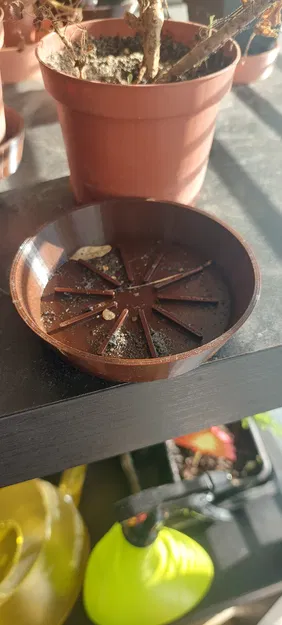 Đế lót chậu hoa tùy chỉnh theo thông số - Image 1