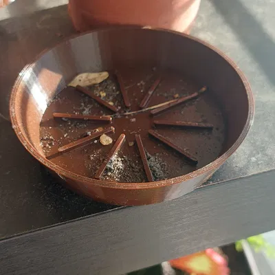 Đế lót chậu hoa tùy chỉnh theo thông số