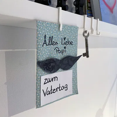 Móc & Kẹp IKEA Mosslanda