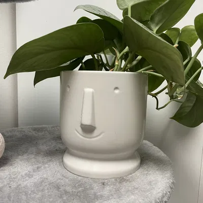 Chậu Hoa Cười - Tùy Chỉnh Kích Thước Dễ Dàng