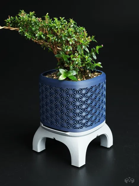 Chậu Bonsai Kumiko Có Chân - Image 2