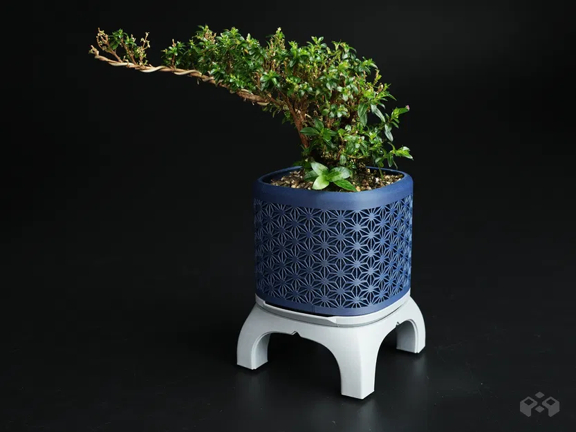 Chậu Bonsai Kumiko Có Chân - Image 4