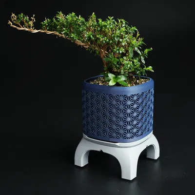 Chậu Bonsai Kumiko Có Chân