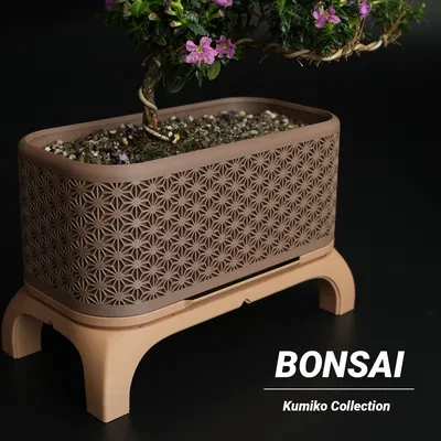 Chậu Cây Bonsai Kumiko Có Chân (Chữ Nhật)