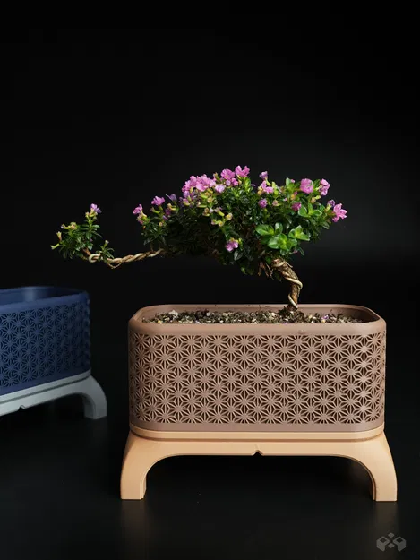 Chậu Cây Bonsai Kumiko Có Chân (Chữ Nhật) - Image 2