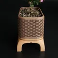 Chậu Cây Bonsai Kumiko Có Chân (Chữ Nhật) - Thumbnail 4