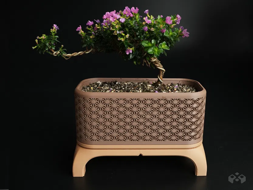 Chậu Cây Bonsai Kumiko Có Chân (Chữ Nhật) - Image 6