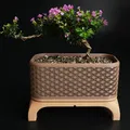 Chậu Cây Bonsai Kumiko Có Chân (Chữ Nhật) - Thumbnail 6