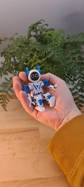 CLR1 - Người máy nhỏ nhắn Dễ thương V1 - Image 7