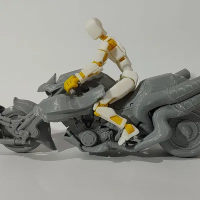 Dummy 13 Hardy Daytona