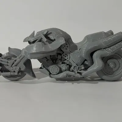 Dummy 13 Hardy Daytona