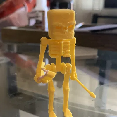 Skelly Minecraft