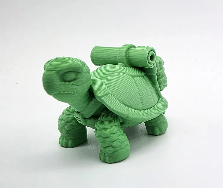 Sheldon Junior - Chú Rùa Con Đáng Yêu - Image 2