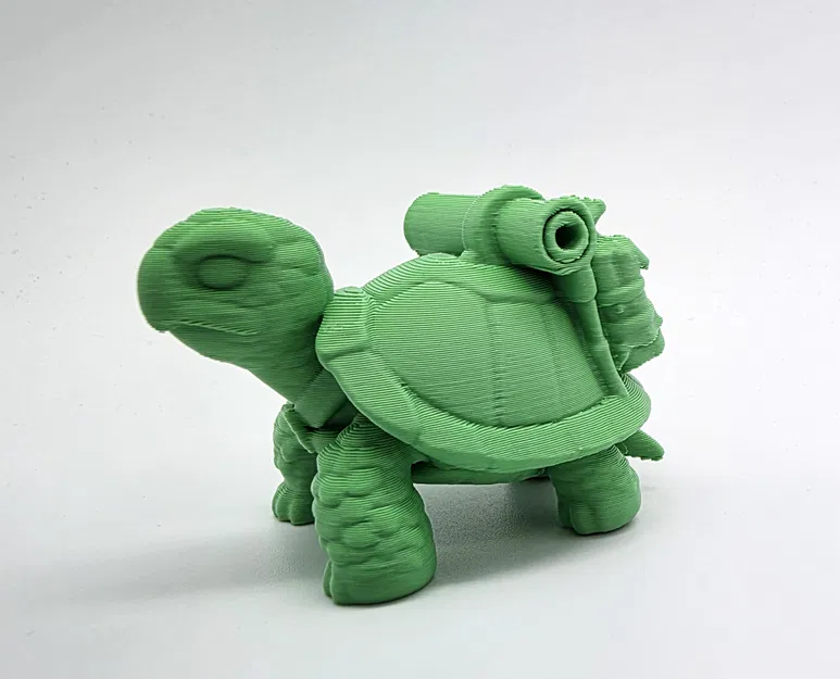 Sheldon Junior - Chú Rùa Con Đáng Yêu - Image 3