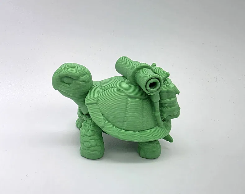 Sheldon Junior - Chú Rùa Con Đáng Yêu - Image 4