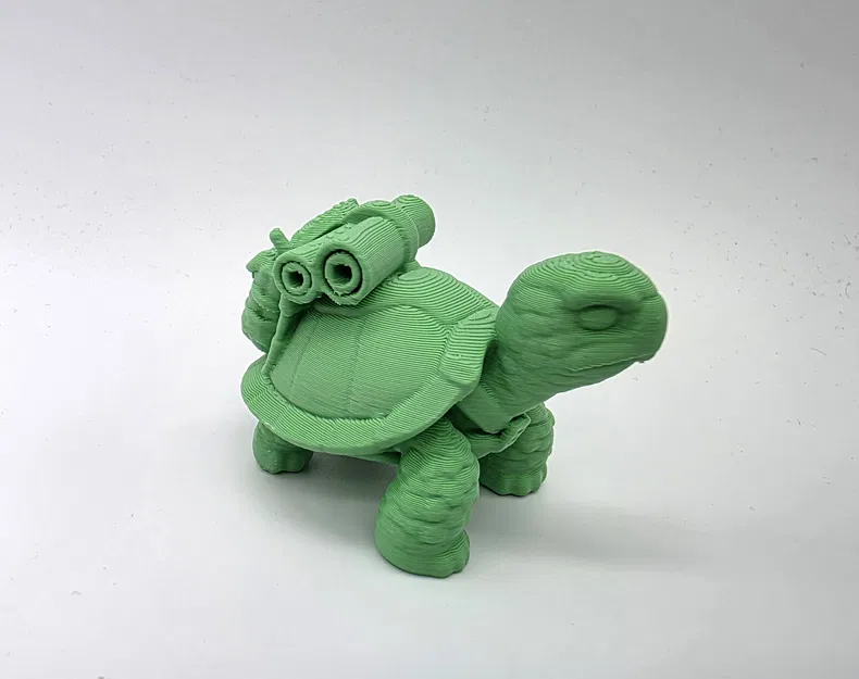 Sheldon Junior - Chú Rùa Con Đáng Yêu - Image 5