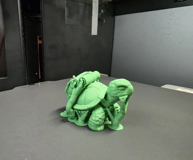 Sheldon Junior - Chú Rùa Con Đáng Yêu - Image 6