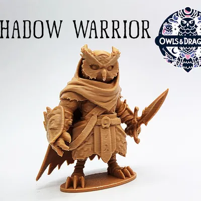 Chiến Binh Bóng Đêm - Cú Và Rồng