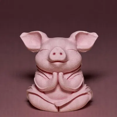 Heo Con Thiền Định Dễ Thương