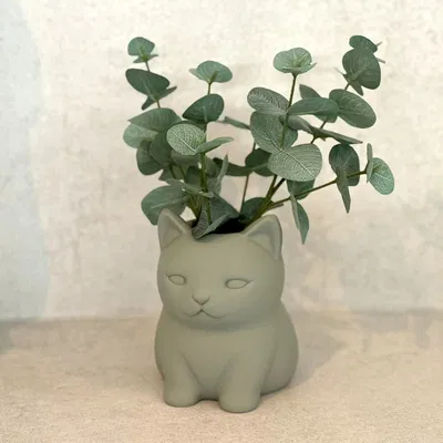 Chậu Cây Mèo Dễ Thương