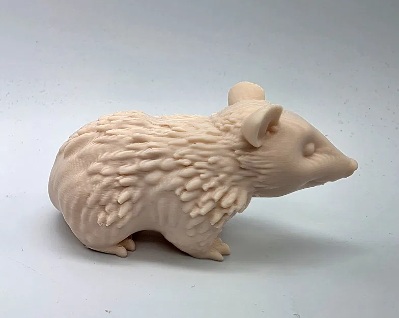 Tượng Opossum - Image 4