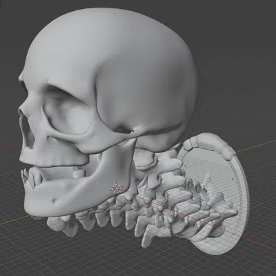 Giá Đỡ Mũ Bảo Hiểm Treo Tường